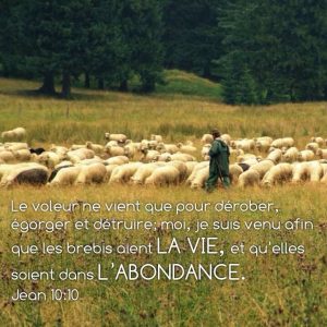 Jean 10 verset 10
